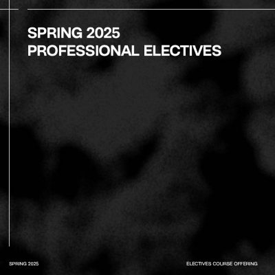 Spring 2025 Professional Electives